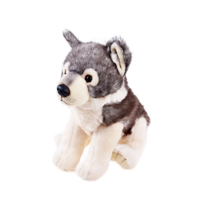 zbliżenie na pyszczek szarego pluszaka wilka