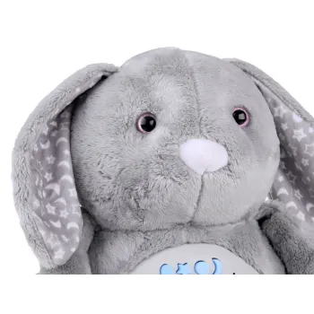 panel interaktywny w brzuszku króliczka z przyciskami