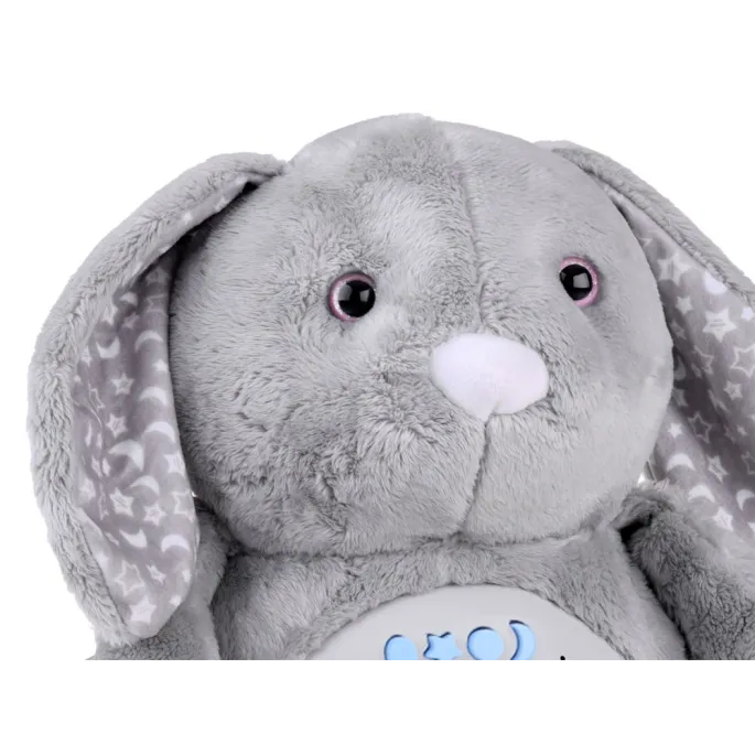 panel interaktywny w brzuszku króliczka z przyciskami