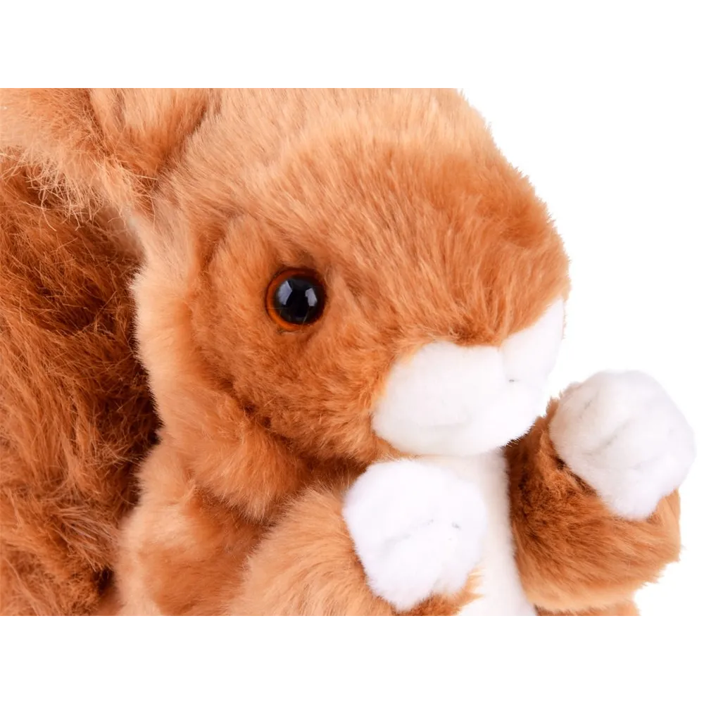 Zbliżenie na twarz i błyszczące oczka maskotki wiewiórki