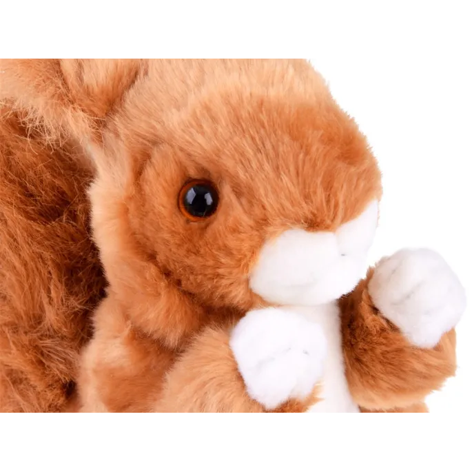 Zbliżenie na twarz i błyszczące oczka maskotki wiewiórki