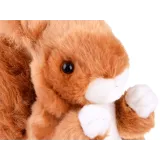 Zbliżenie na twarz i błyszczące oczka maskotki wiewiórki