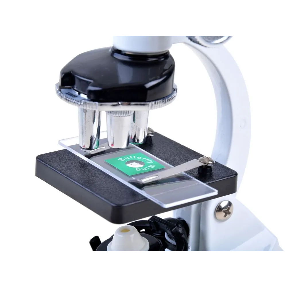 obserwacja preparatów pod mikroskopem młodego naukowca