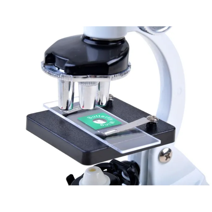 obserwacja preparatów pod mikroskopem młodego naukowca