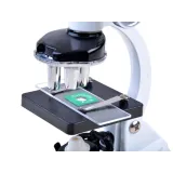 obserwacja preparatów pod mikroskopem młodego naukowca