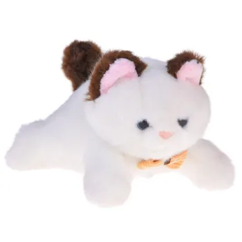 cały zestaw z plecakiem, butelką, szczotką i suszarką