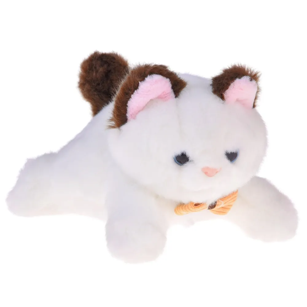 cały zestaw z plecakiem, butelką, szczotką i suszarką