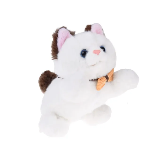 akcesoria do pielęgnacji i karmienia pluszowego kotka