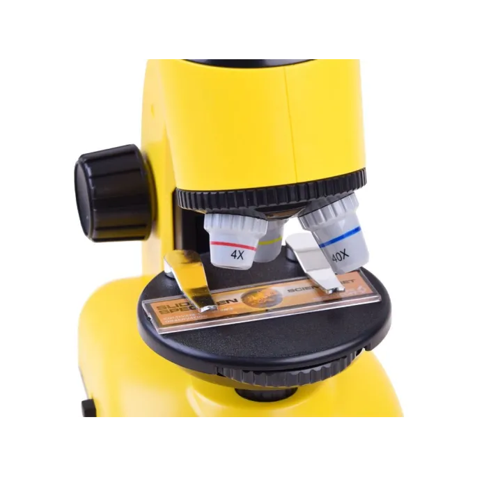 trzy poziomy powiększenia pokazane na mikroskopie