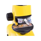 trzy poziomy powiększenia pokazane na mikroskopie