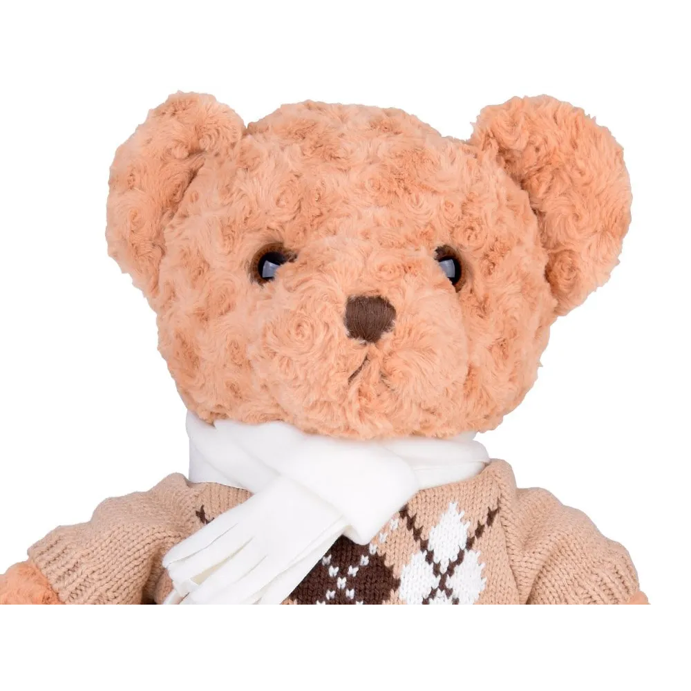 widok misia w stylowym sweterku z boku