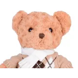 widok misia w stylowym sweterku z boku