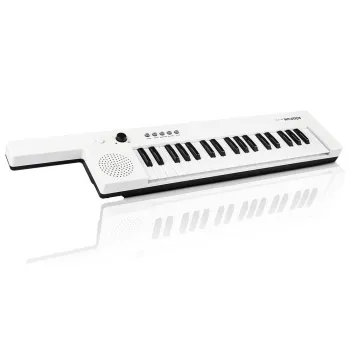 poręczna klawiatura elektroniczna przygotowana do występu domowego