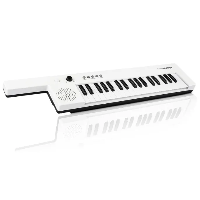 poręczna klawiatura elektroniczna przygotowana do występu domowego