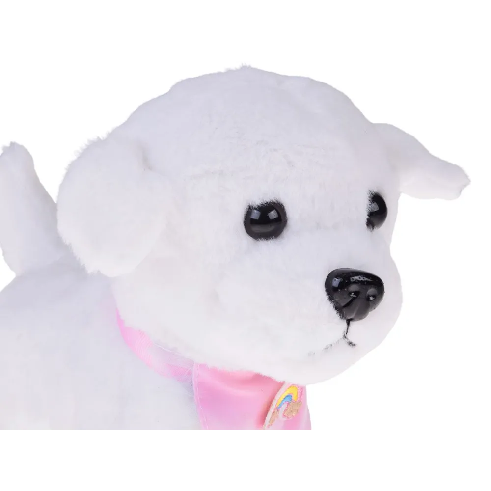 Piesek w trakcie chodzenia, widoczne poruszanie ogonkiem