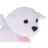 Piesek w trakcie chodzenia, widoczne poruszanie ogonkiem