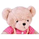 detal różowej koszuli w kratkę na pluszowym misiu filipie