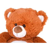 Miękki miś z interaktywnym panelem wyświetlającym gwiazdki na suficie