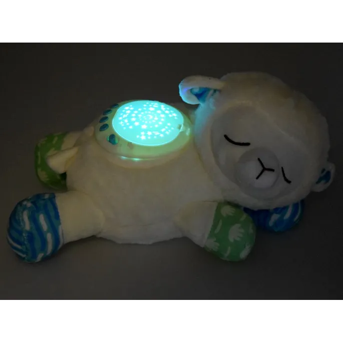 widok owieczki z ręcznie wyjmowanym panelem