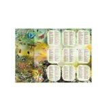 Zestaw Tuban Tubi Jelly z opakowaniem i wszystkimi elementami