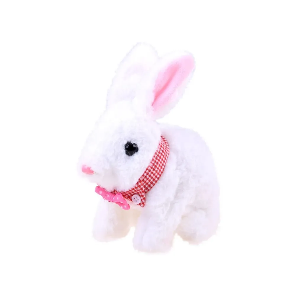 widok zestawu z kocykiem, poidełkiem i marchewką do zabawy