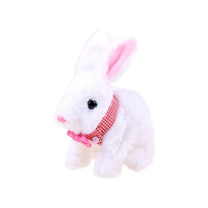 widok zestawu z kocykiem, poidełkiem i marchewką do zabawy