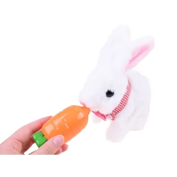 maskotka królik stojąca w efektownym opakowaniu prezentowym