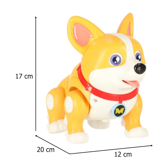 grający piesek corgi podczas ruchu