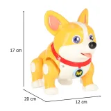 grający piesek corgi podczas ruchu