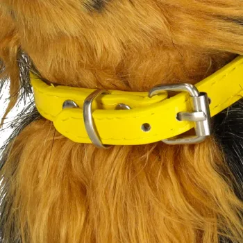 widok interaktywnego pieska yorka w opakowaniu producenta