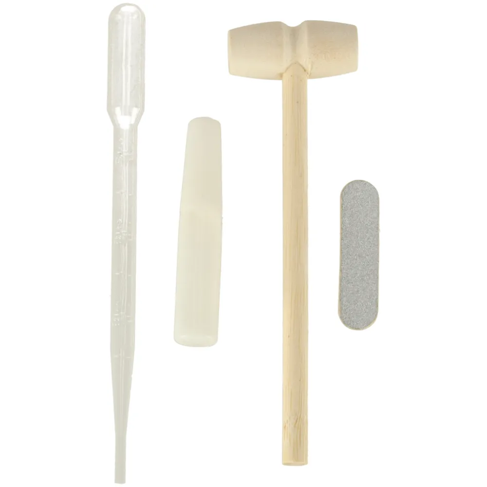 dzienniczek do zapisków wzrostu roślin z elementami zestawu