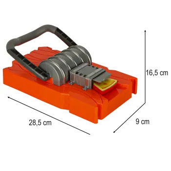 kolorowe karty i plastikowe elementy gry złap ser