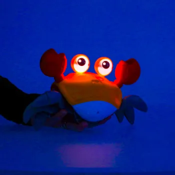 krab opakowany w kartonowe pudełko z opisem