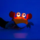 krab opakowany w kartonowe pudełko z opisem