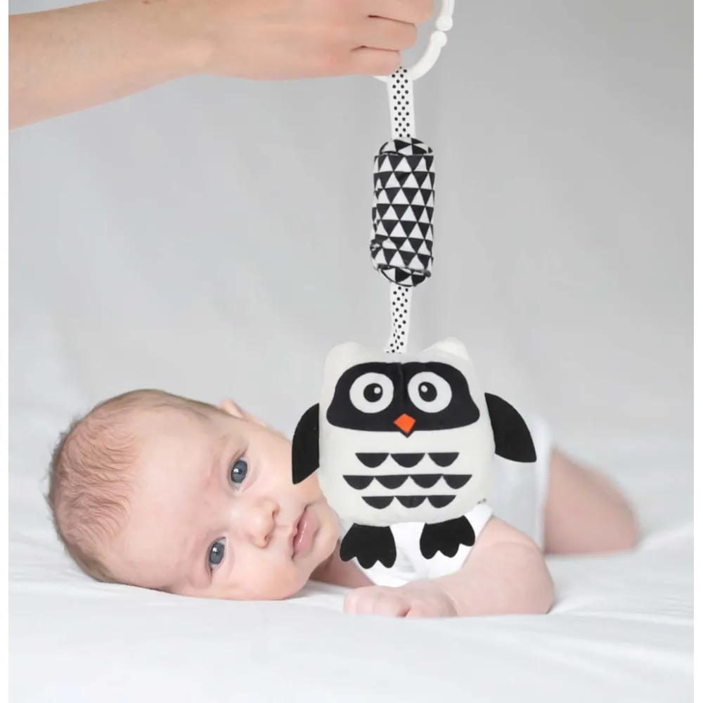 Zawieszka sowa zapakowana w foliowy woreczek do transportu