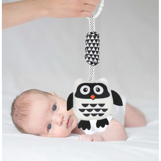 Zawieszka sowa zapakowana w foliowy woreczek do transportu