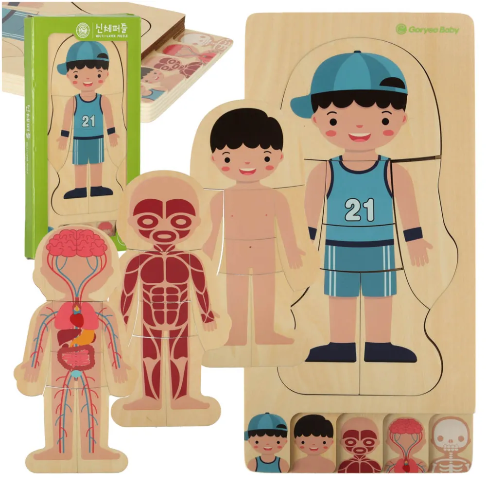 drewniane puzzle warstwowe budowa ciała dla dzieci chłopiec montessori