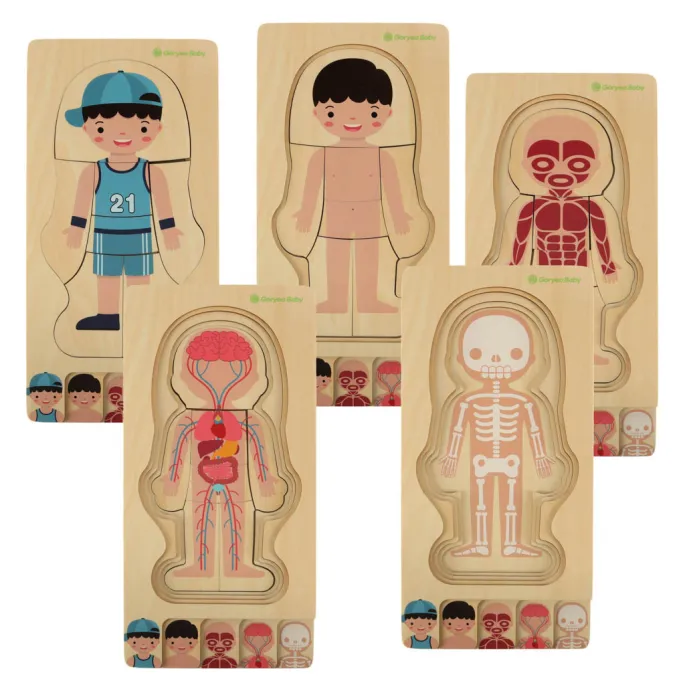 puzzle pokazujące szkielet chłopca jako pierwszą warstwę układanki