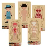 puzzle pokazujące szkielet chłopca jako pierwszą warstwę układanki