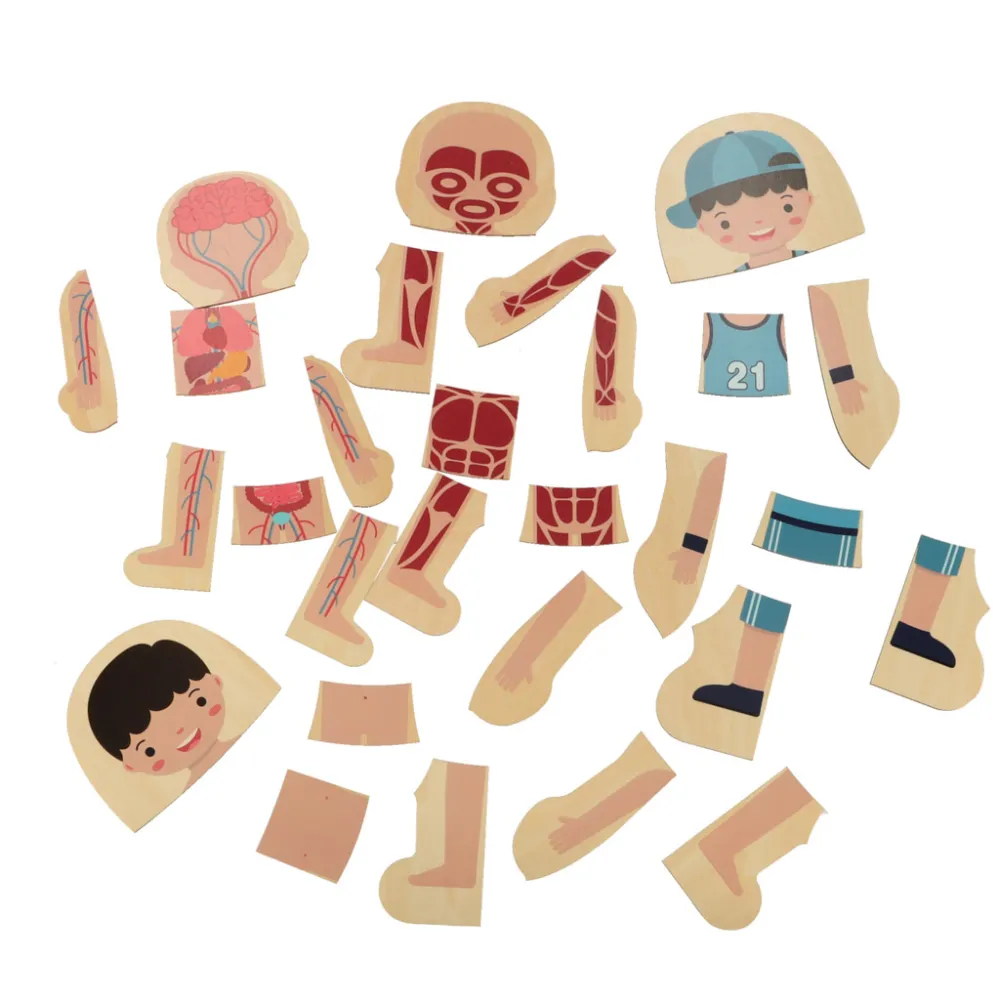 etap dodawania organów wewnętrznych do puzzli warstwowych chłopiec