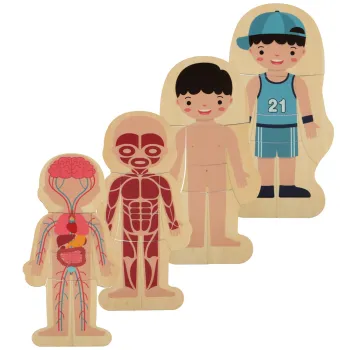 mięśnie ludzkiego ciała w drewnianej układance edukacyjnej