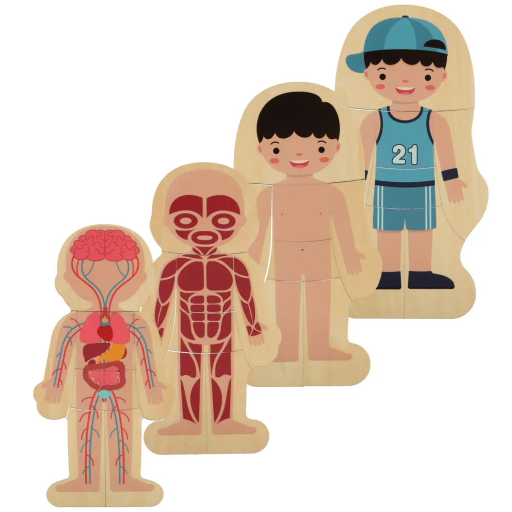mięśnie ludzkiego ciała w drewnianej układance edukacyjnej