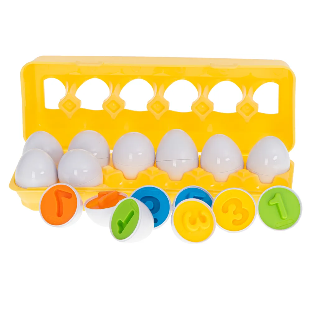 Wytłaczanka z jajkami edukacyjnymi w różnych kolorach