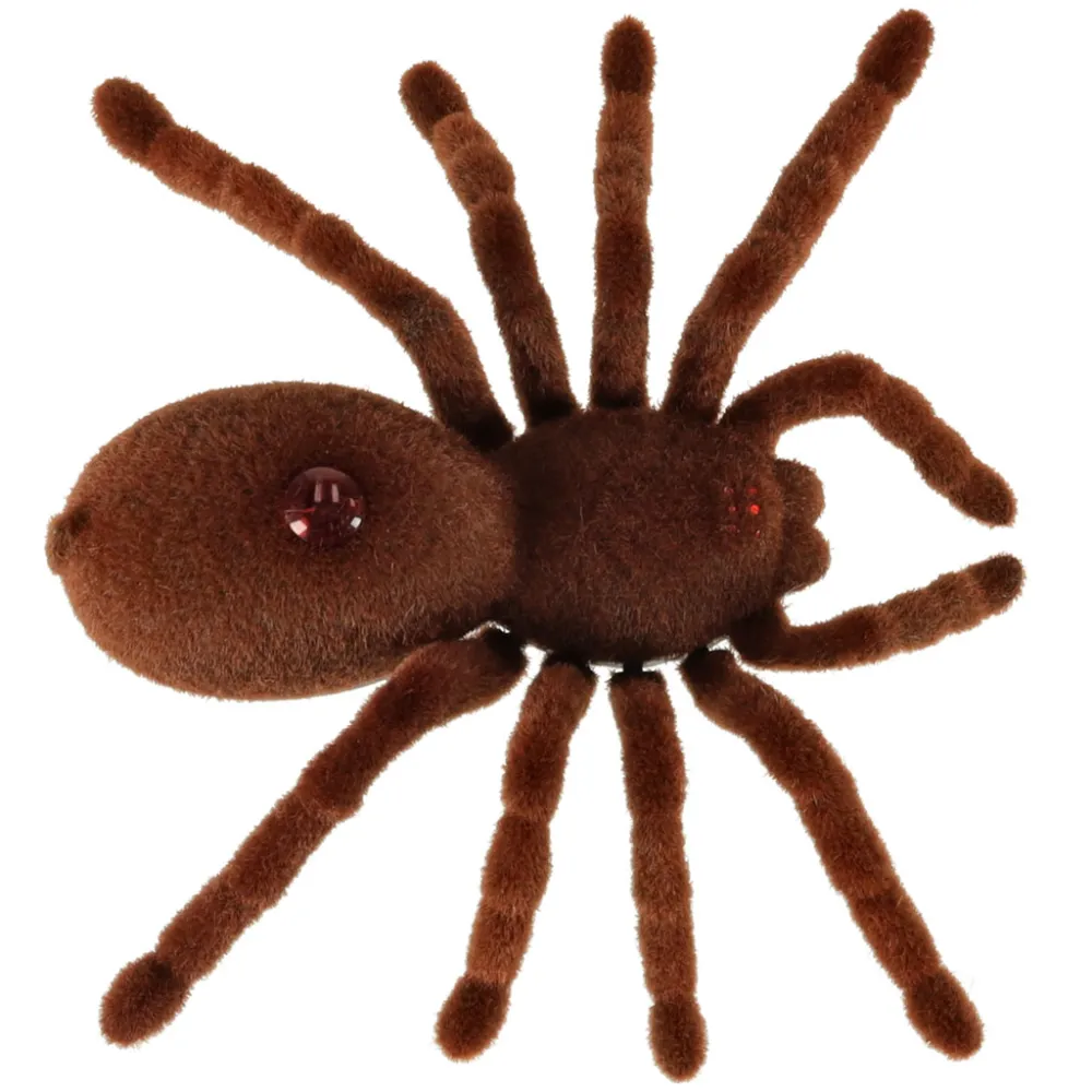 zbliżenie na świecące oczy robota pająka