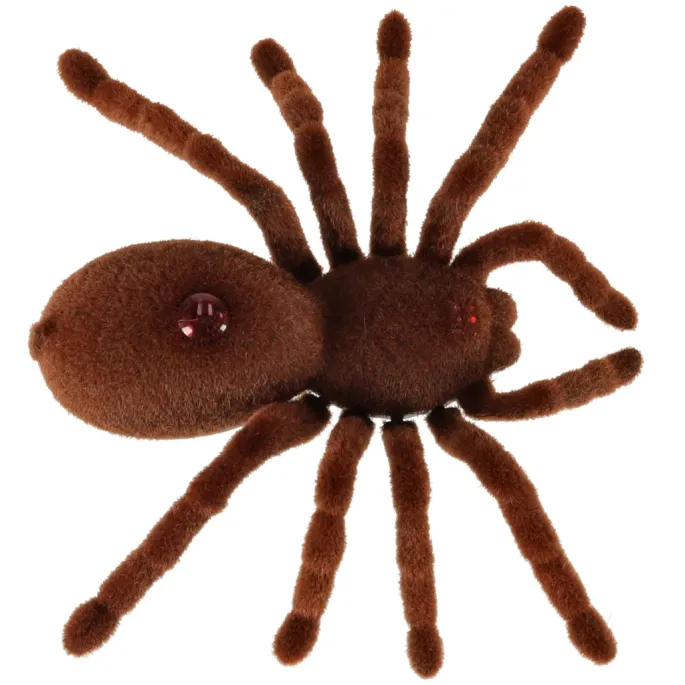 zbliżenie na świecące oczy robota pająka