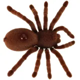 zbliżenie na świecące oczy robota pająka