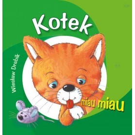 Kotek miau miau - książeczka dla dzieci